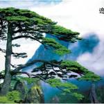 Anhui pic1